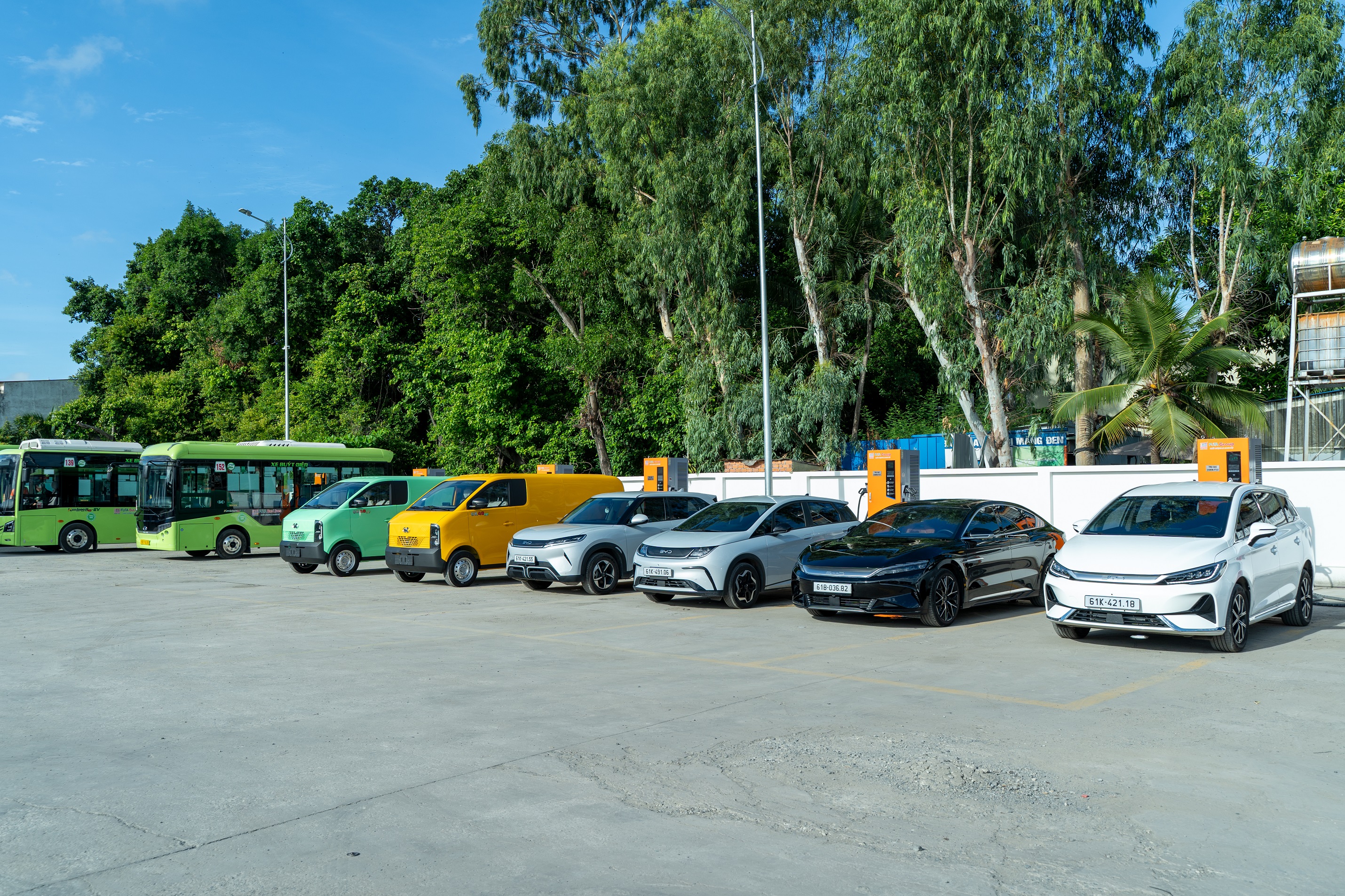 BYD (3).jpg