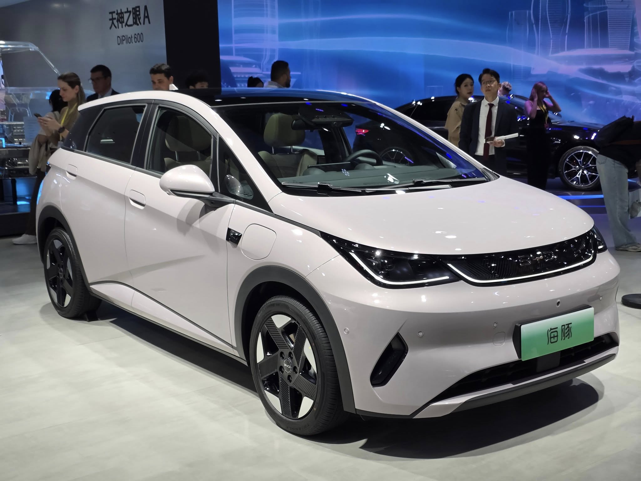 BYD Dolphin 2025.jpg