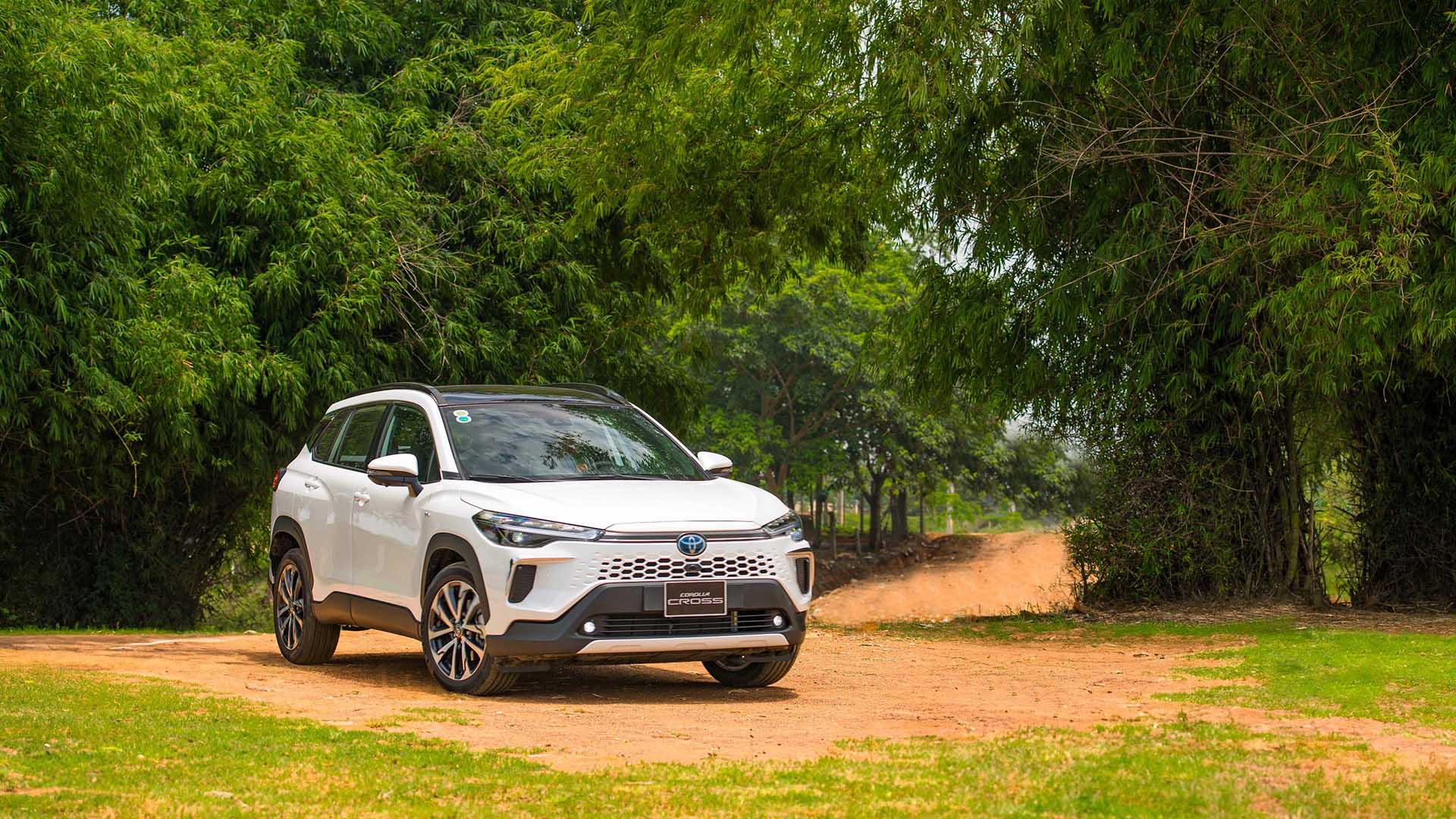 DSC_9390 copy (1).jpg