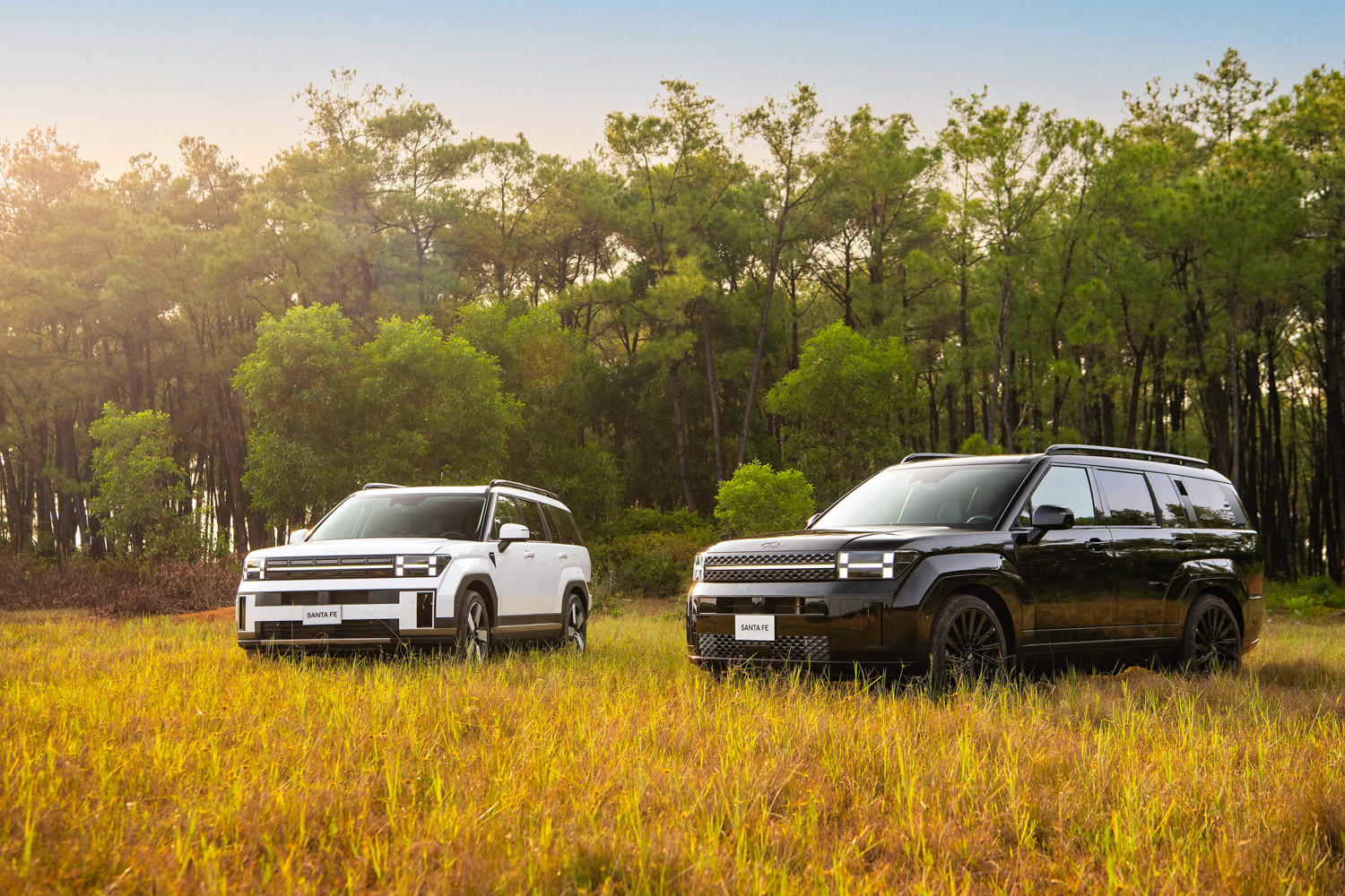 Hyundai All New Santa Fe - 1 (1).jpg