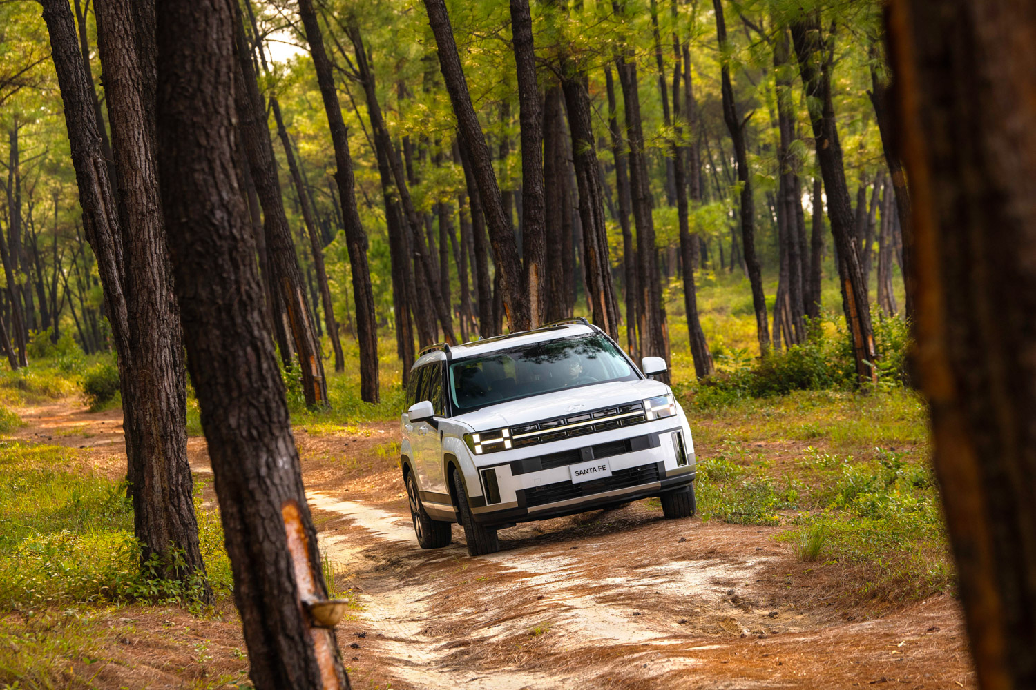 Hyundai All New Santa Fe - 8 (1).jpg