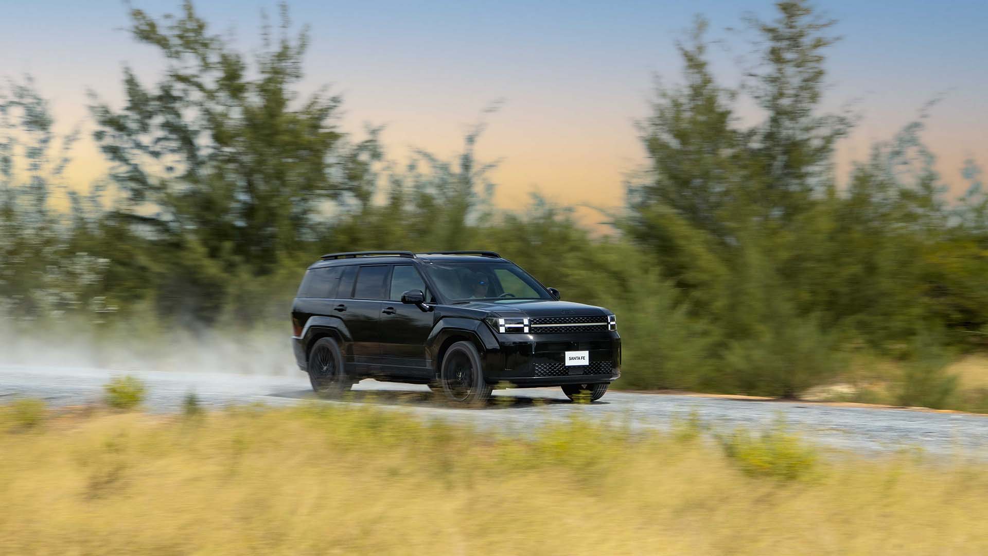 Hyundai Santa Fe.JPG