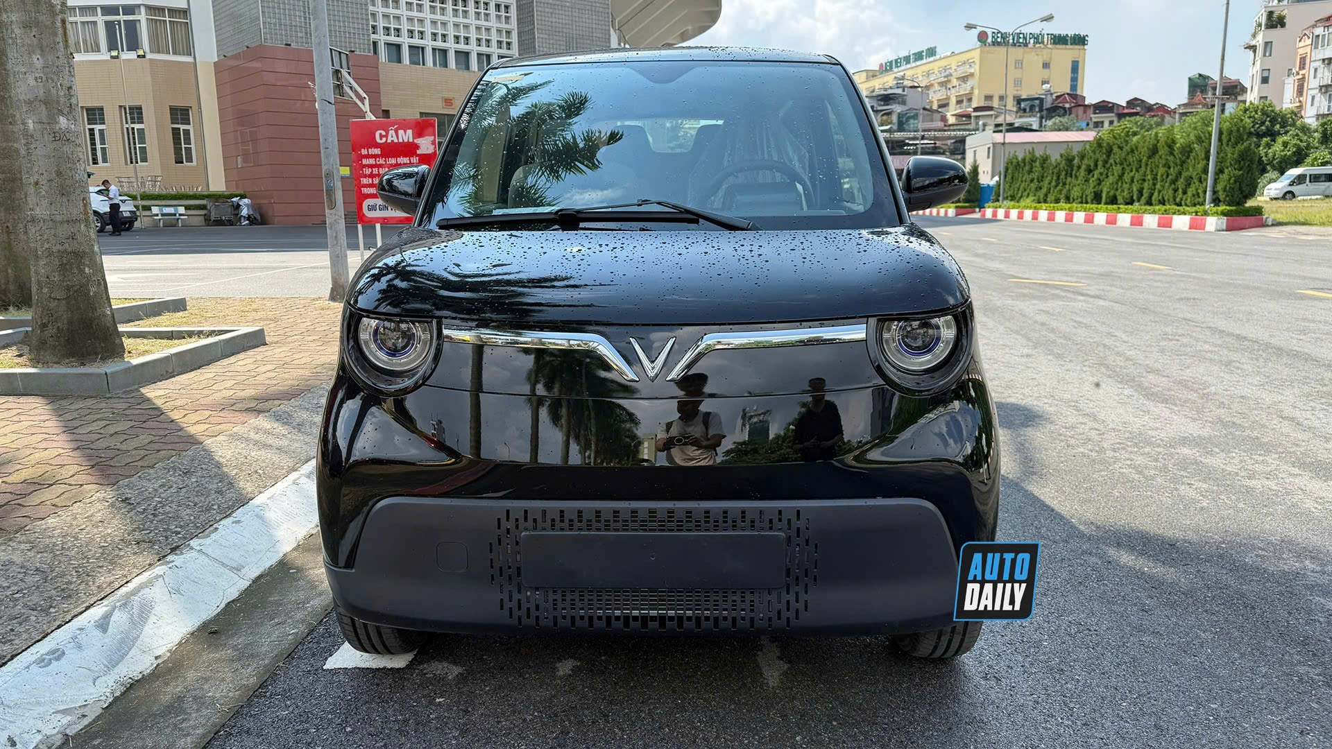 Minio Green  (2).jpg