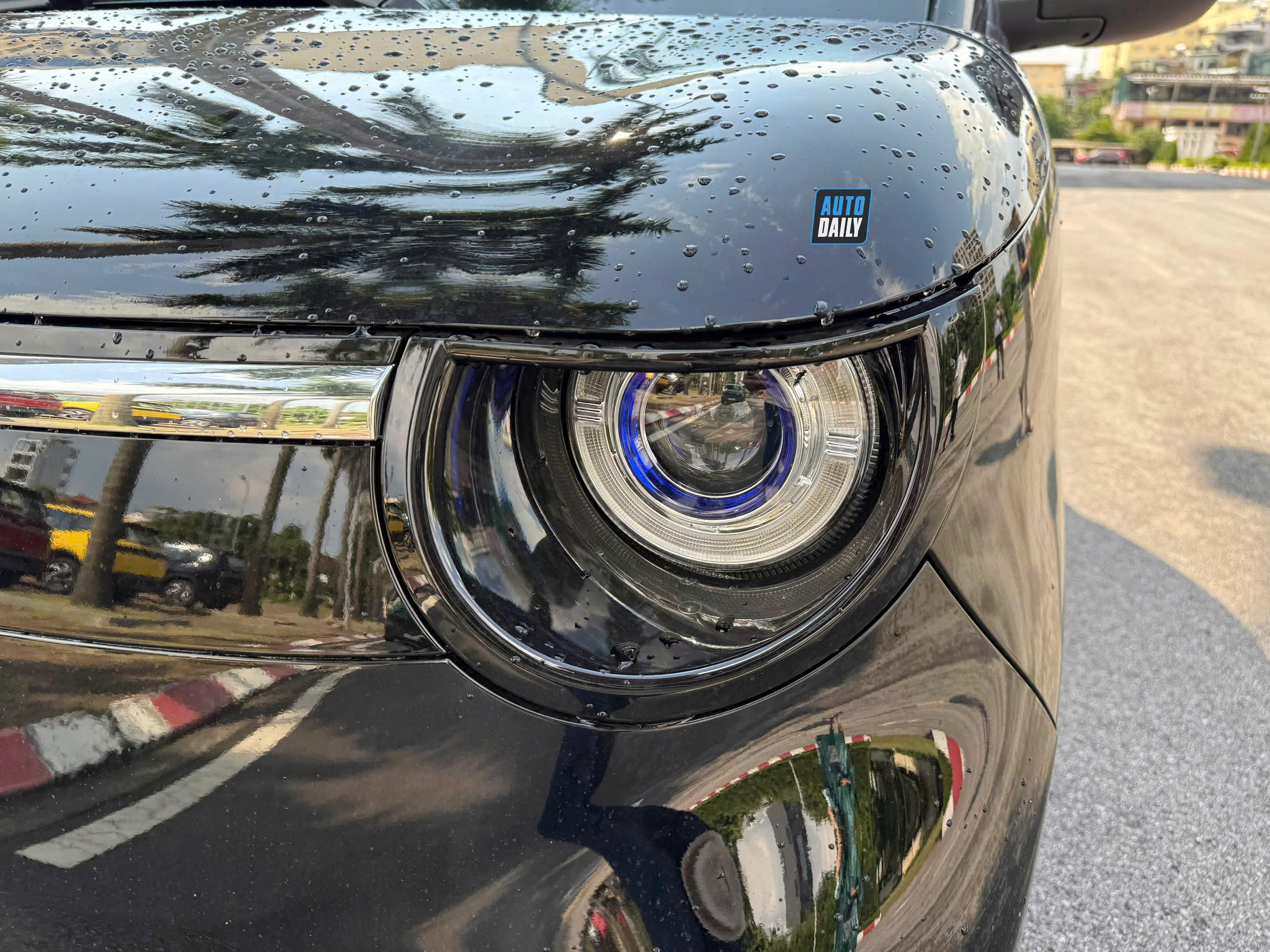 Minio Green  (3).jpg