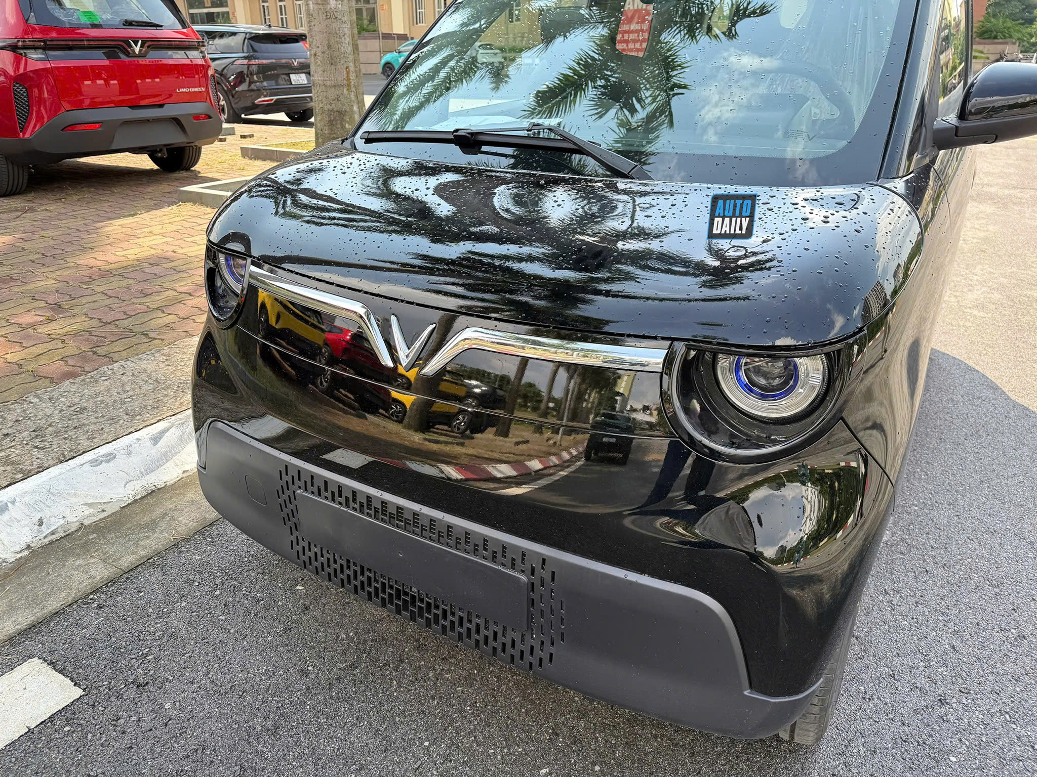 Minio Green  (5).jpg