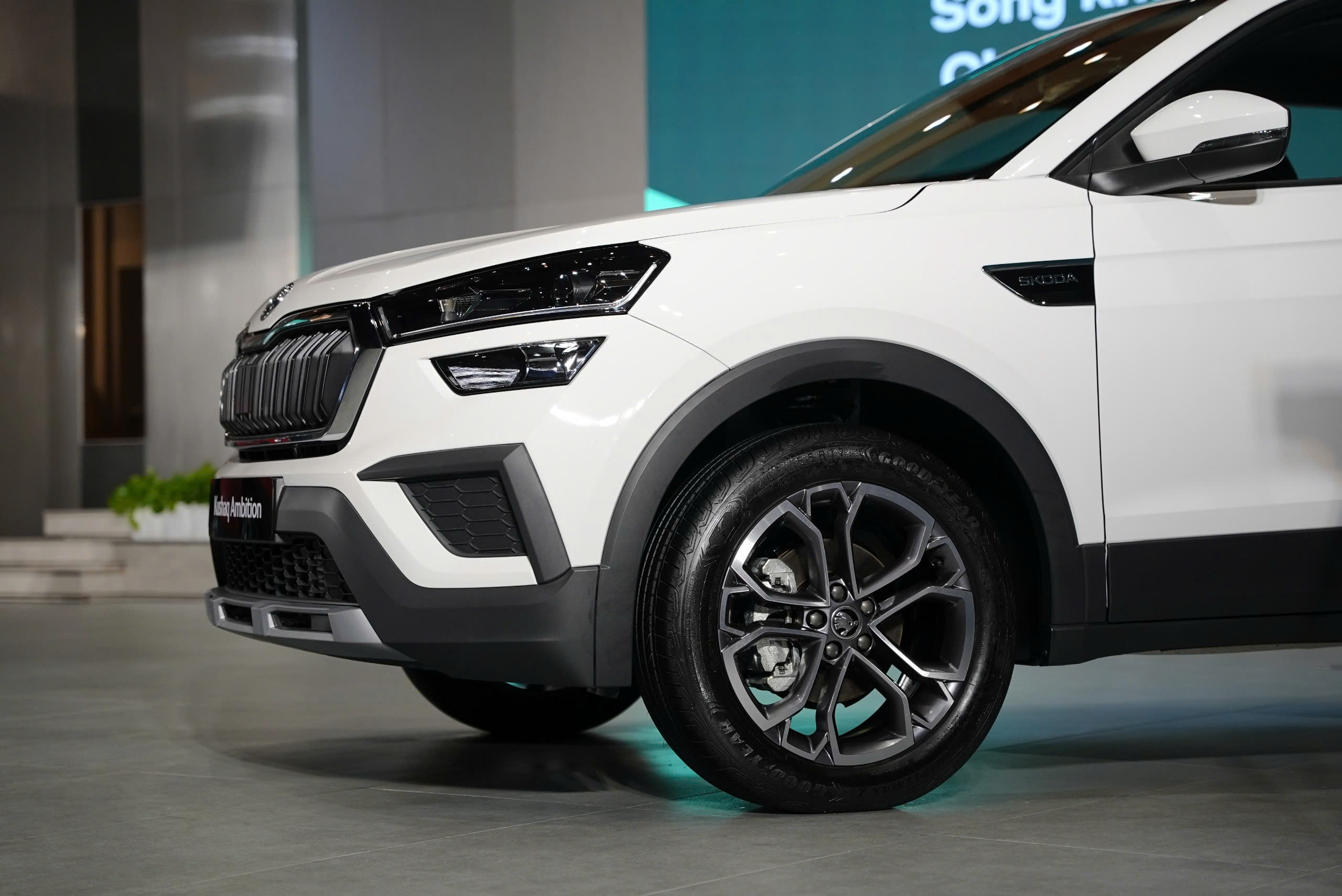 Skoda Kushaq  (3).jpg