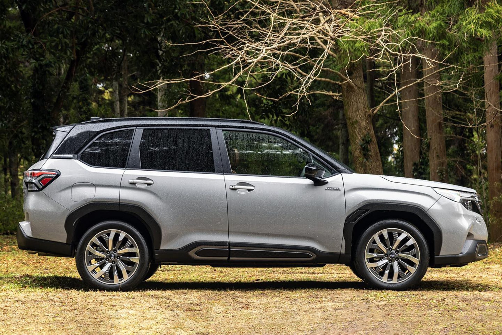 Subaru Forester  2026 11.jpg