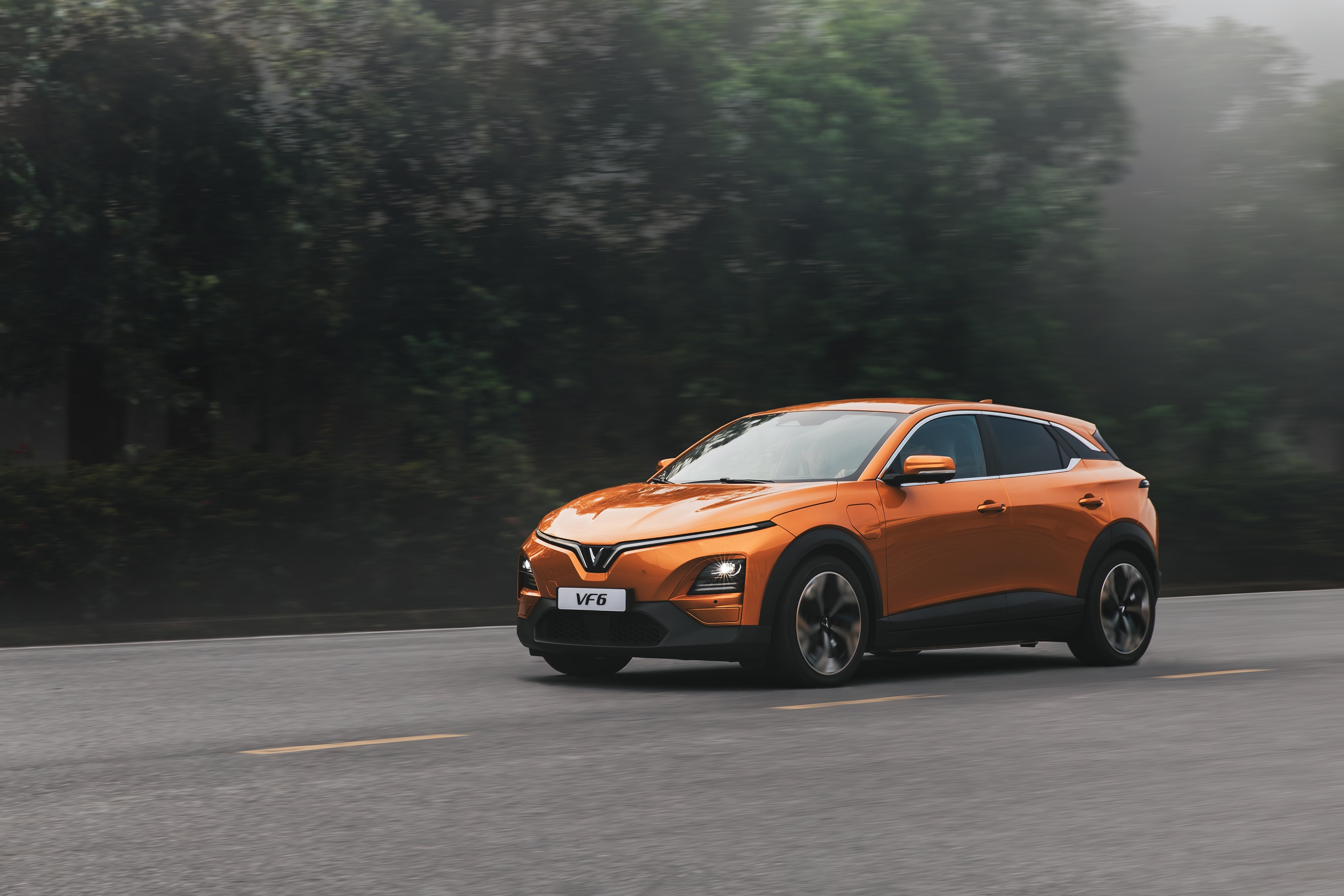 VF 6_Dynamic_MG_0196-Enhanced-NR copy.jpg