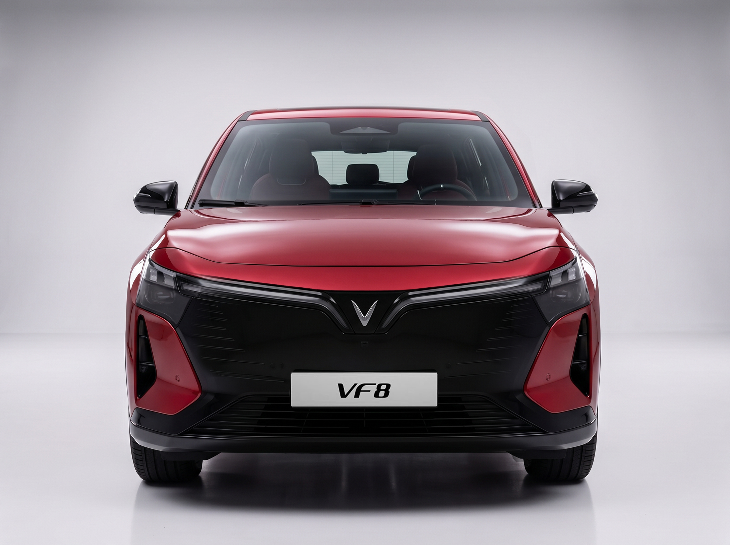 VF 8 1.jpg