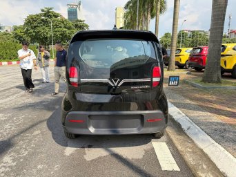 Minio Green  (6).jpg