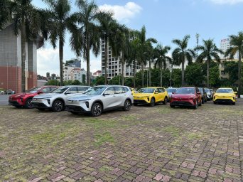 VinFast Limo Green-2.jpg