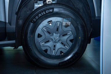 VF Wild 6.jpg
